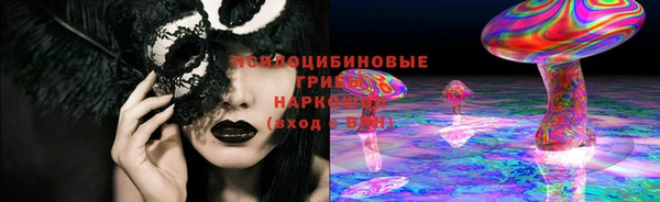 спайс Пролетарск