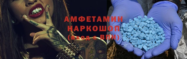 СК Алексин