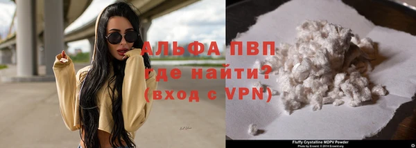СК Алексин