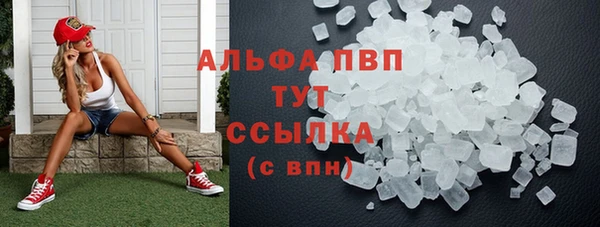 стаф Покачи