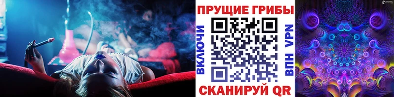 mega как зайти  Куровское  Галлюциногенные грибы Cubensis 